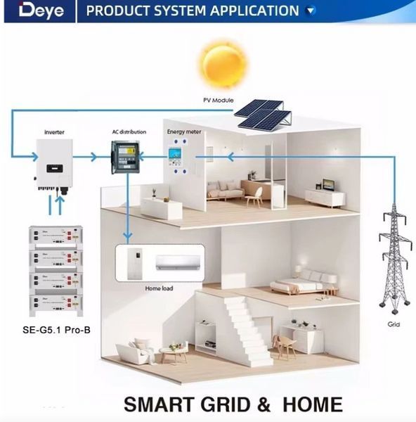 Deye SE-G5.1 Pro-B 51.2V 100Ah LiFePO4 акумулятор 5.12 кВт&middot;год для гібридних інверторів наявність уточнюйте ! фото